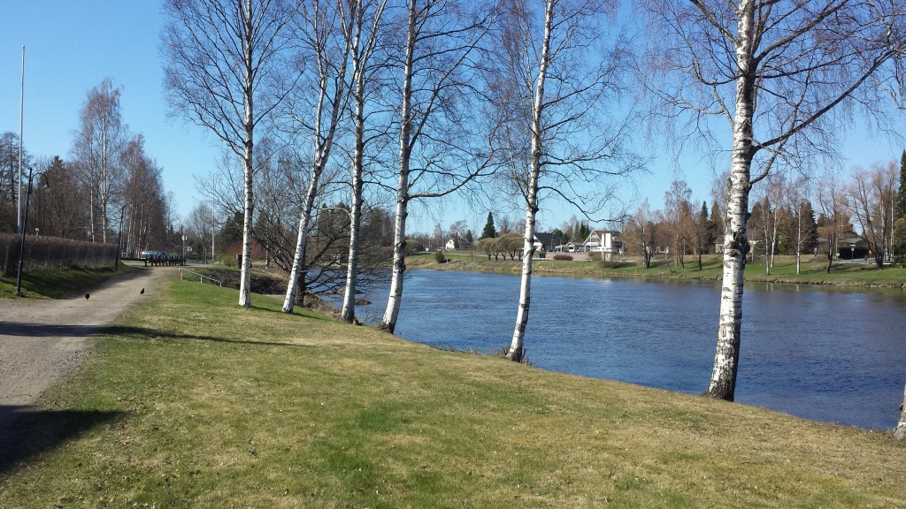 Kokemäenjoki. Kuva: Tuomas Kuhalainen