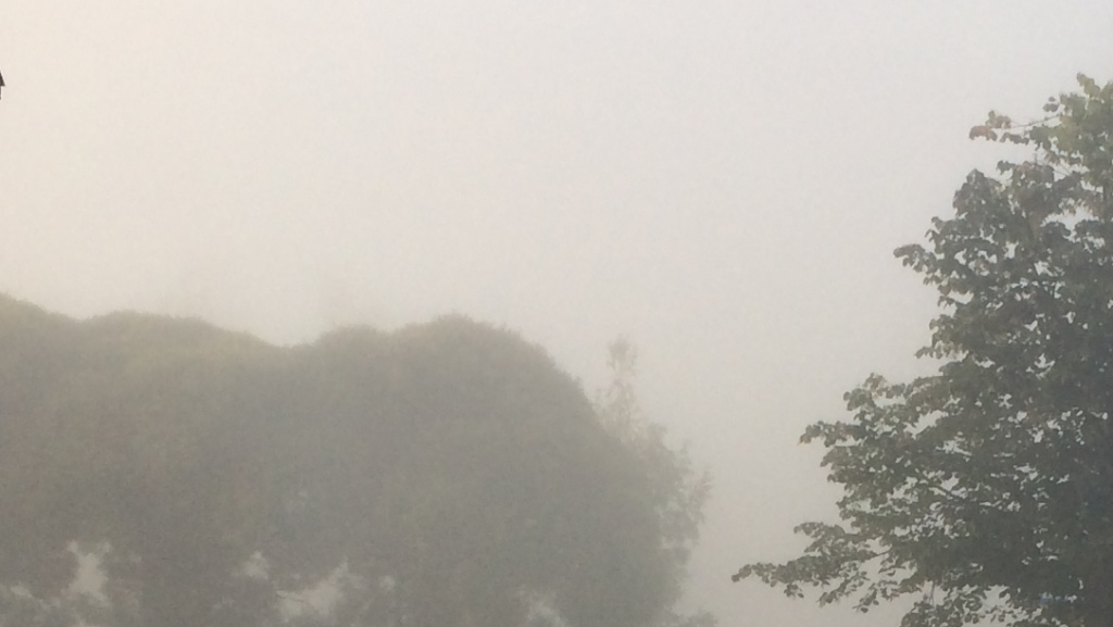 Näkyvyys on sumun takia aamuisin heikko. Kuva: Tuomas Kuhalainen
