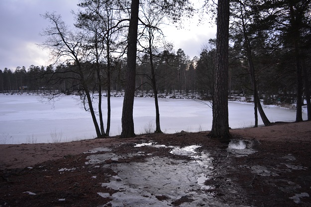Pitkäjärvi. Kuva: Tuomas Kuhalainen